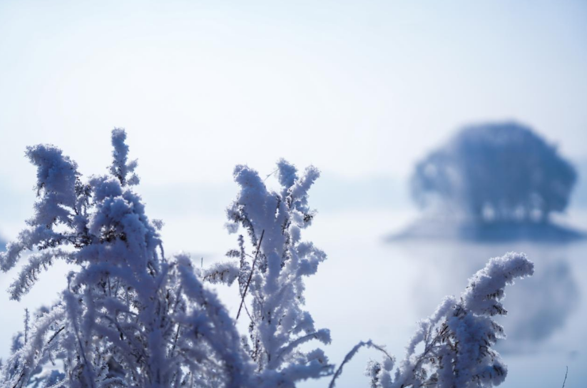 ag真人国际中国冰雪看吉林——雪地冰天的崛起与思考 展望篇（三）：世界金名片之闯(图3)