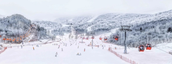 吉林为何能成为全国第一的滑雪胜地(图1)