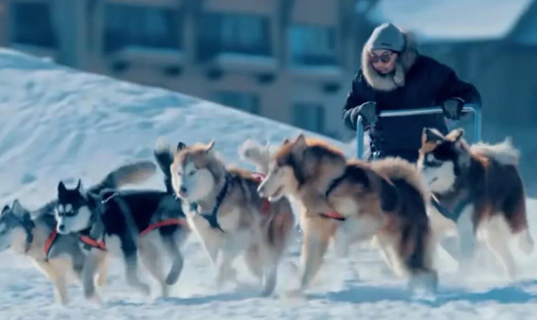 双雪场破百万只是开始!吉林冰雪早已不止“一城双星”(图8)