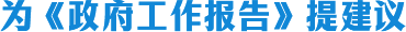 为政府工作报告提建议