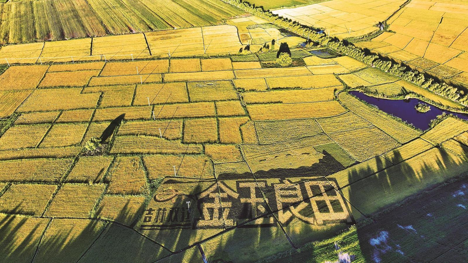 牢记嘱托担使命——四平市推进黑土地保护全面提档升级记事(图1)