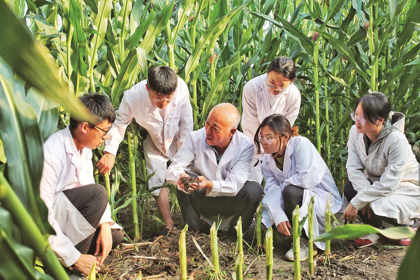 牢记嘱托担使命——四平市推进黑土地保护全面提档升级记事(图2)