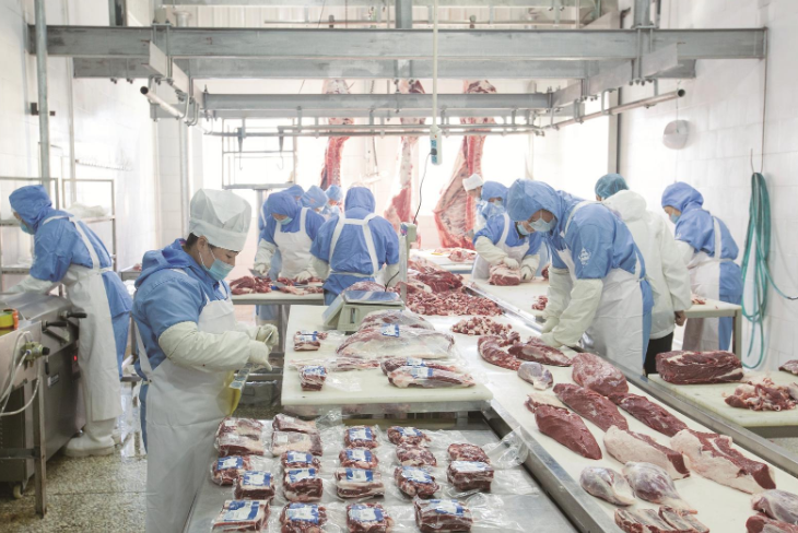 我省深耕肉牛种业振兴助力畜牧业高质量发展——良种育出新“牛势”(图3)