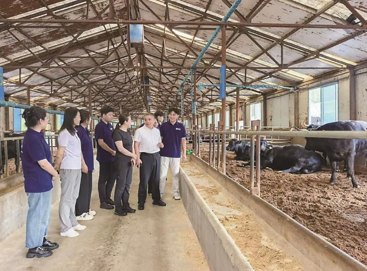 我省深耕肉牛种业振兴助力畜牧业高质量发展——良种育出新“牛势”(图4)