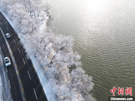 吉林市松花江岸出现雾凇。 苍雁 摄
