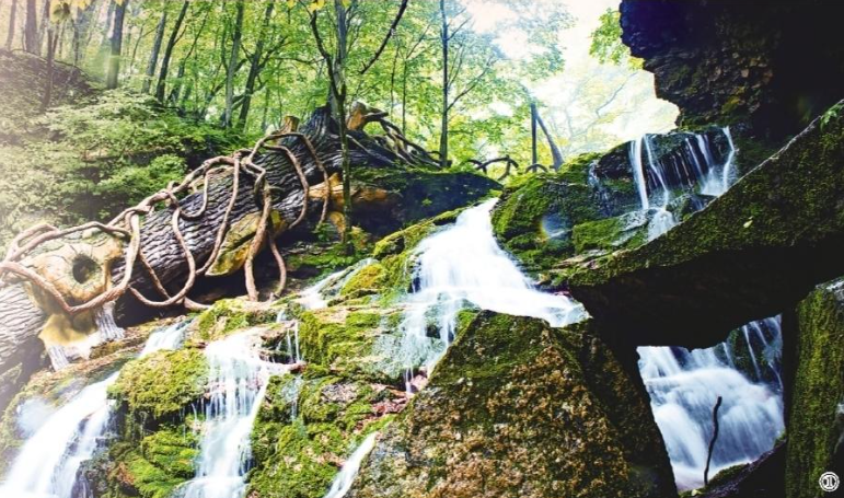 盛夏热量催生避暑经济——透视我省各市州文旅市场新机遇(图2)
