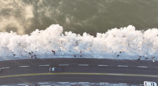 搜狗高速浏览器截图20251218060804.png